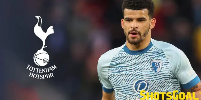 Solanke Sebagai Pemain Multifaset